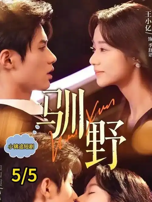 晴天影视官方下载app版块图鉴无障碍与缩放适配示意
